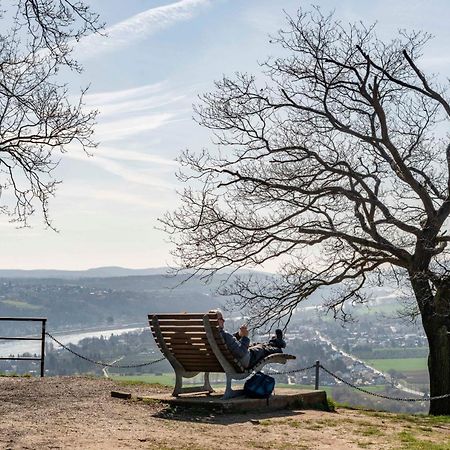 Studio-Loft Siebengebirge Westerwald Erpel Exteriér fotografie