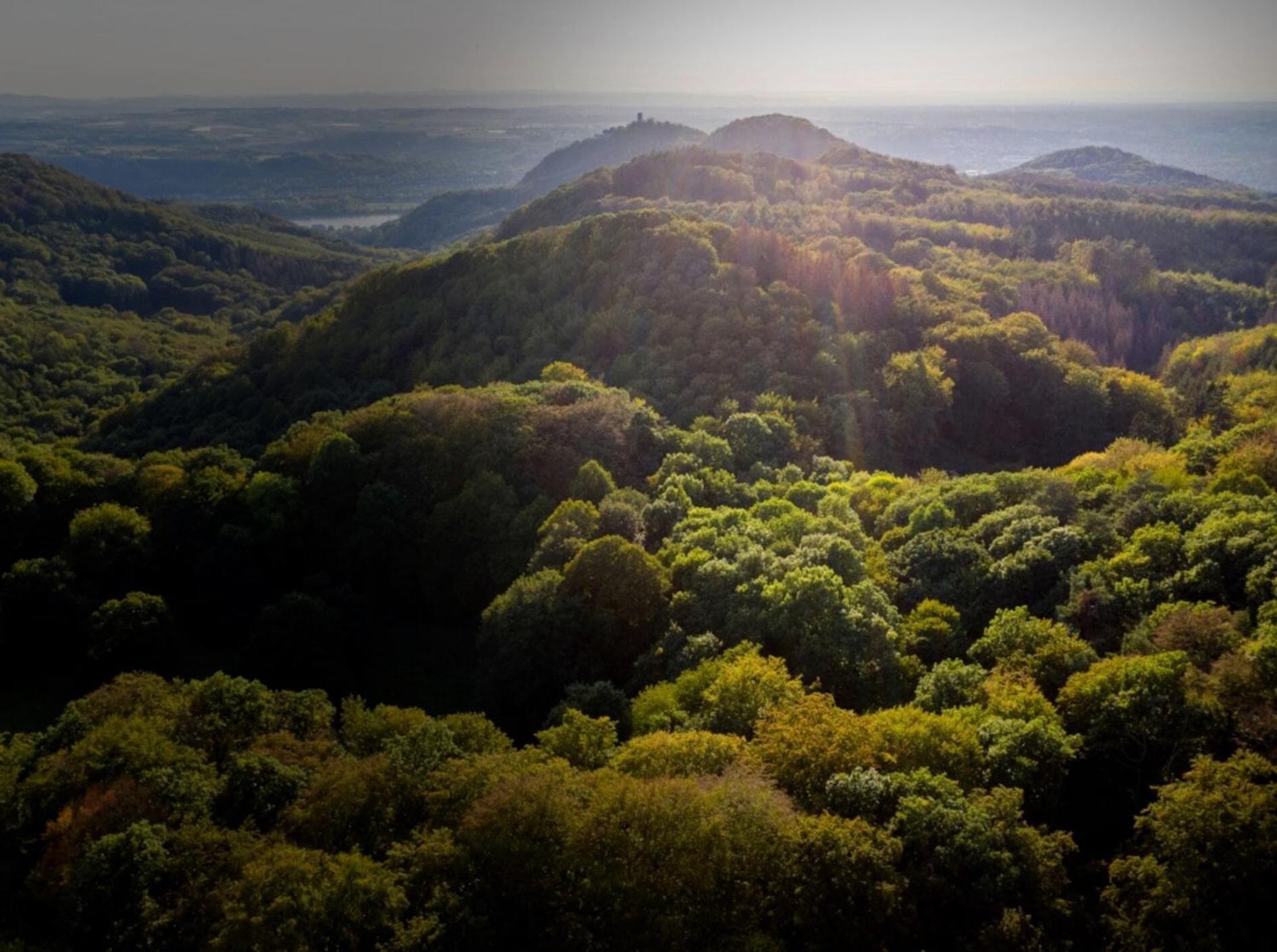 Studio-Loft Siebengebirge Westerwald Erpel Exteriér fotografie